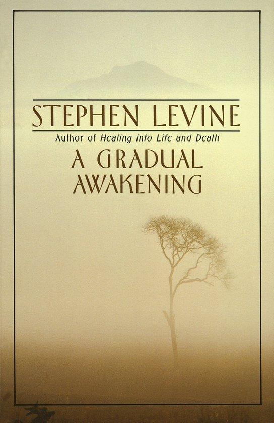 A Gradual Awakening 9780385262187 Stephen Levine, Boeken, Taal | Engels, Gelezen, Verzenden