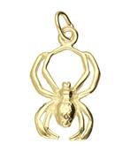 Gouden Spin kettinghanger, Sieraden, Tassen en Uiterlijk, Kettinghangers, Verzenden, Nieuw