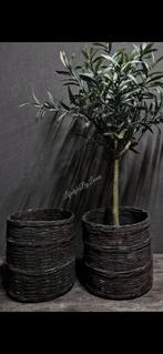 Oude Indiase rattan mand, Ophalen of Verzenden, Nieuw