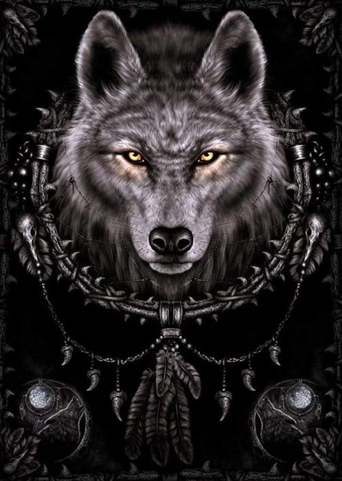 Poster Spiral Wolf Dreams 61x91,5cm, Verzamelen, Posters, Nieuw, A1 t/m A3, Verzenden