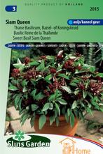 Siam Queen Thaise Basilicum Zaden: Kweek Heerlijke,, Verzenden