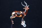 Figuur - Swarovski - Gazelle (Boxed) - Kristal