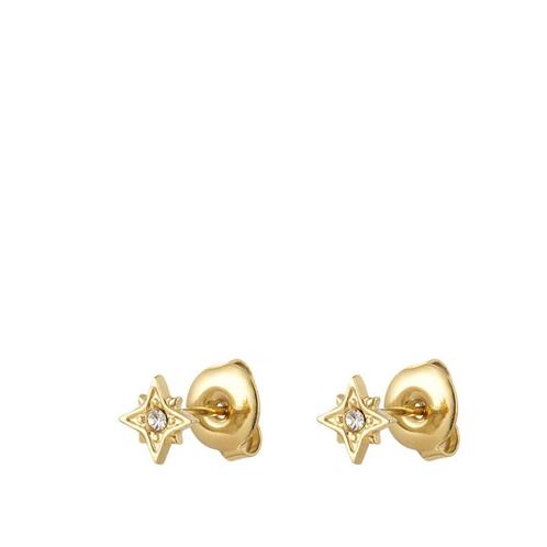 De nieuwste trends Oorbellen! Van Chirurgisch staal, Sieraden, Tassen en Uiterlijk, Oorbellen, Met strass, Overige kleuren, Nieuw