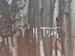 Michele Telari - Stars and stripes - XL