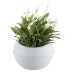 Bama Sfera Bloempot 23L 40.5x32 cm Wit (Overige), Huis en Inrichting, Verzenden, Nieuw