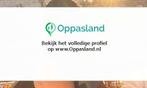 Ik ben Chayenne, 18 jaar oud en ik zoek oppaswerk in Gron...