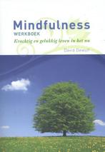 Mindfulness werkboek 9789082428308 David Dewulf, Boeken, Verzenden, Zo goed als nieuw, David Dewulf