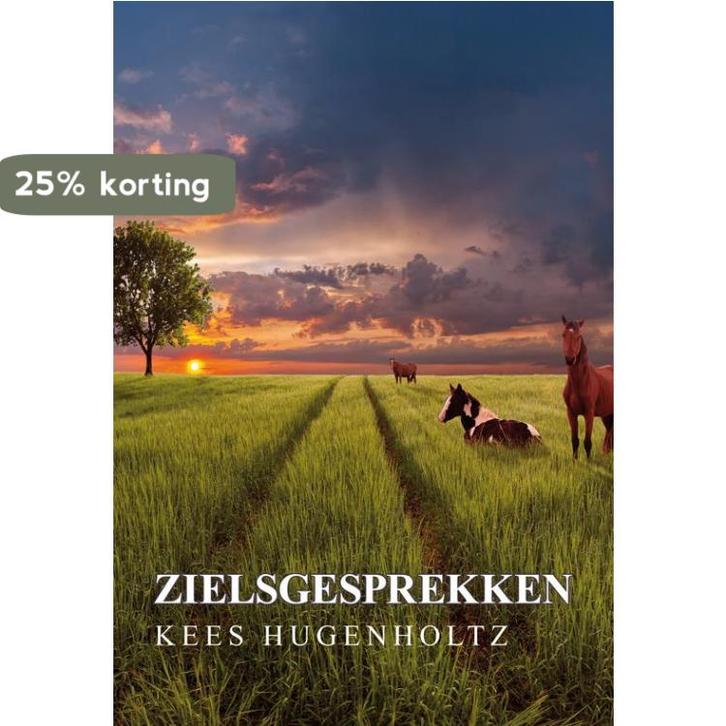 Zielsgesprekken 9789089545466 Kees Hugenholz, Boeken, Esoterie en Spiritualiteit, Gelezen, Verzenden