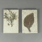 Mid-century modern Tegel (2) - Roger Capron - Mid-century