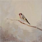 Matthieu van Riel - Goldfinch (Puttertje)