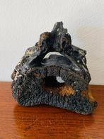 Wolharige mammoet - Fossiel wervelbot - Mammuthus