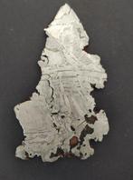 Seymchan meteoriet Plak - Hoogte: 0.03 cm - Breedte: 7 cm-