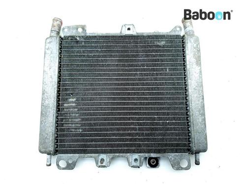 Radiateur Piaggio | Vespa Beverly 500 2003-2005 (ZAPM34100), Motoren, Onderdelen | Overige, Gebruikt, Verzenden