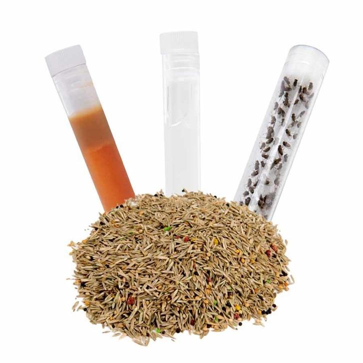 Voeding set zaden, Dieren en Toebehoren, Insecten en Spinnen