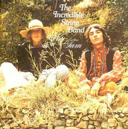 cd - The Incredible String Band - Wee Tam, Cd's en Dvd's, Cd's | Overige Cd's, Zo goed als nieuw, Verzenden