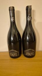Baladin - Xyauyù - Riserva Teo Musso 2024 - 50cl - 2 flessen, Nieuw
