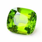 1 pcs Groen Olivijn - 12.65 ct - International Gemological, Sieraden, Tassen en Uiterlijk, Edelstenen, Nieuw