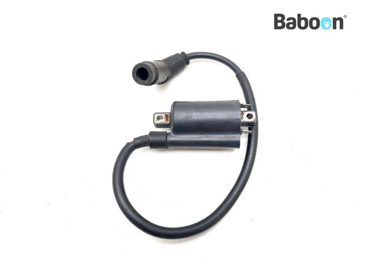 Bobine Aprilia ETV 1000 Caponord 2001-2003 (ETV1000), Motoren, Onderdelen | Overige, Gebruikt, Verzenden