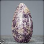 Zeldzame Eenhoornsteen 100% natuurlijk Vrije vorm- 1301.42 g, Verzamelen, Mineralen en Fossielen