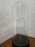 Globe - stolp - antiek - 1901-1920 - Antieke ronde stolp op