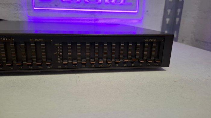 Technics - SH-E5 Stereo grafische equalizer, Audio, Tv en Foto, Radio's