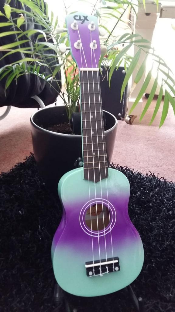 Prachtige Collectie CLX Ukeleles | Muziek Center Roosendaal, Muziek en Instrumenten, Snaarinstrumenten | Overige, Ukelele, Nieuw