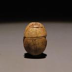 Oud-Egyptisch Speksteen Scarabee. Hyksos-periode, 1782 -, Verzamelen