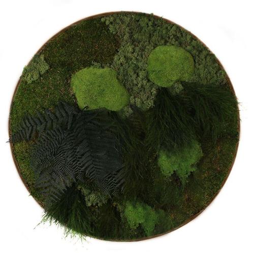 Vintlux Mosschilderij Rond Donker Eiken - Solbjerg, Huis en Inrichting, Woonaccessoires | Wanddecoraties