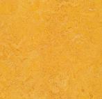 Forbo Marmoleum Decibel 322535 dandelion, Huis en Inrichting, Verzenden, Nieuw