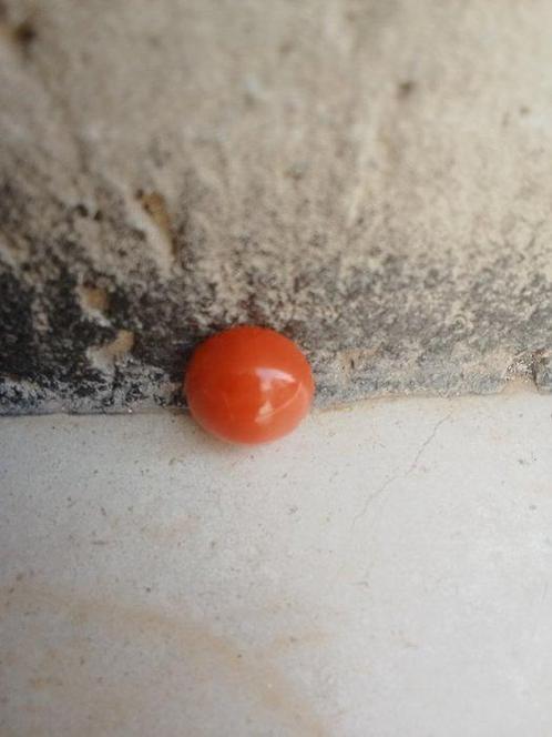 Natuurlijk Corallium Rubrum Spola met bolvorm, 3 gram Koraal, Verzamelen, Dierenverzamelingen