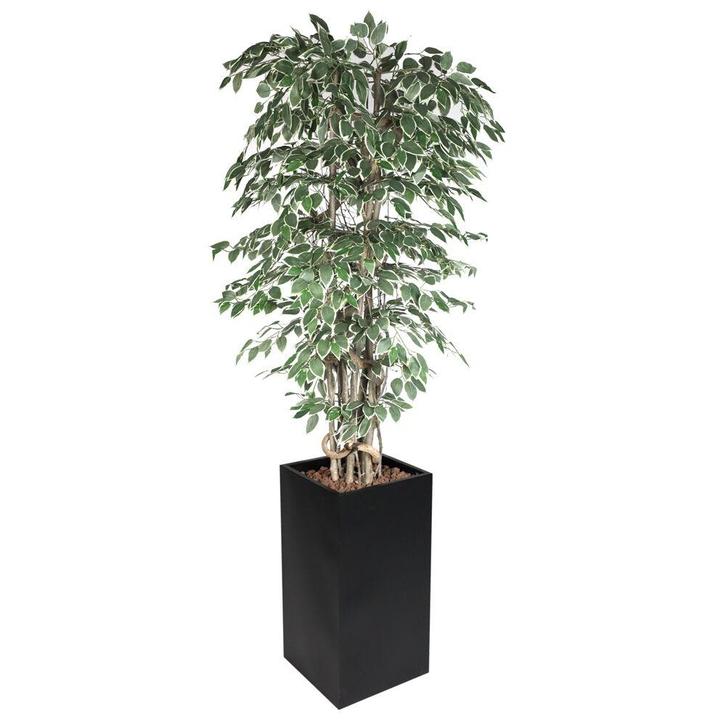 GGM Gastro | Ficus Starlight | PWBTBTN | PWBTBTN, Zakelijke goederen, Horeca | Keukenapparatuur, Verzenden