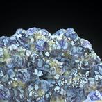 Gratis verzending 544g zeldzame TANZANIET FLUORIET met, Verzamelen, Mineralen en Fossielen