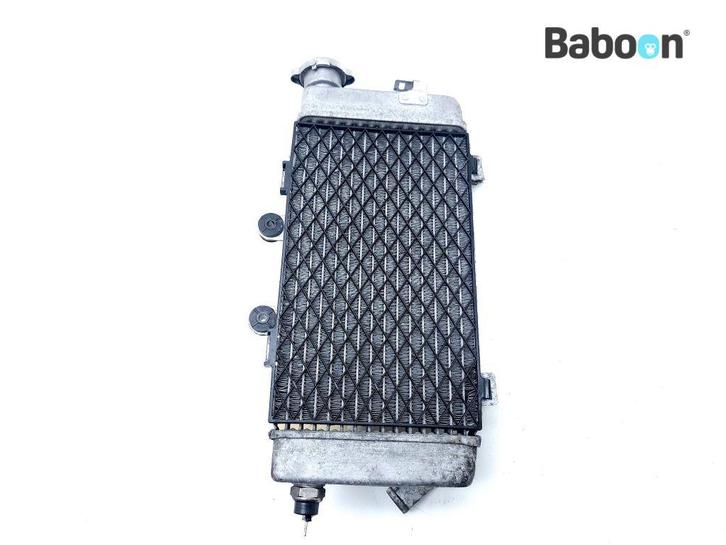 Radiateur Rechts Honda XL 1000 Varadero 2001-2002 (XL1000V, Motoren, Onderdelen | Honda, Gebruikt, Verzenden