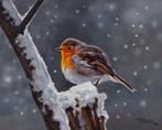 Giovanni Parlato (1957) - Pettirosso nella neve