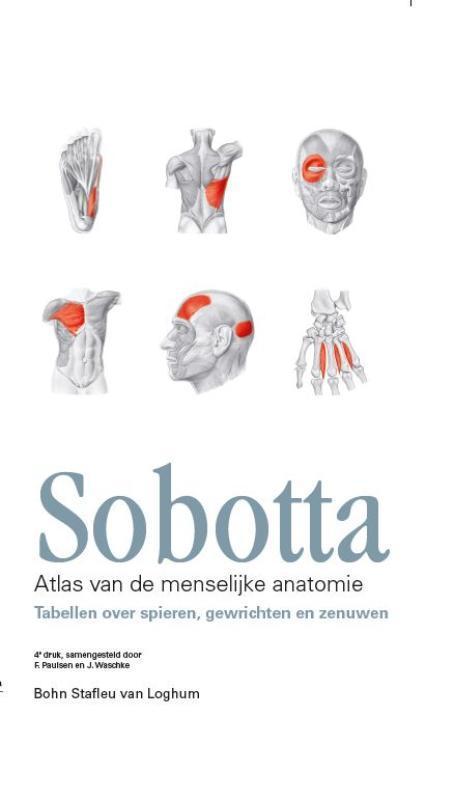 Sobotta  Tabellen over spieren gewrichten en z 9789031390748, Boeken, Studieboeken en Cursussen, Zo goed als nieuw, Verzenden