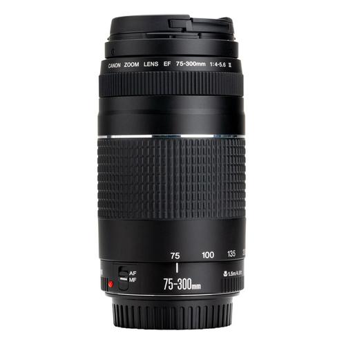 Canon EF 75-300mm F/4-5.6 III met garantie, Audio, Tv en Foto, Fotografie | Lenzen en Objectieven, Verzenden