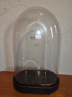 Globe - stolp - antiek - 1881-1900 - Antieke ovale stolp op