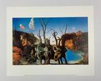 Salvador Dali (1904-1989) - Swans Reflecting Elephants, 1937, Antiek en Kunst