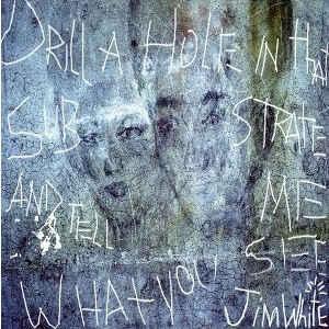 cd - Jim White - Drill A Hole In That Substrate And Tell..., Cd's en Dvd's, Cd's | Overige Cd's, Zo goed als nieuw, Verzenden
