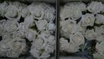 foam roos Emilia Creme 6 cm. bundel 7 new Creme, Huis en Inrichting, Ophalen of Verzenden, Nieuw