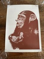 Artis - Affiche: Artis moet blijven (actie) - Jaren 1970, Antiek en Kunst