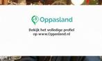 Ik ben meis, 16 jaar oud en ik zoek oppaswerk in Hilversum.