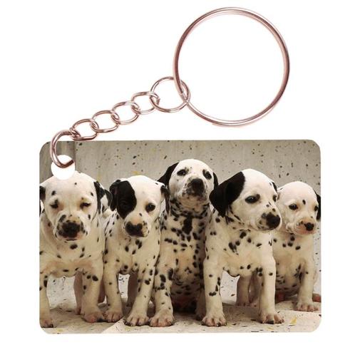 Sleutelhanger 6x4cm - Dalmatier Puppies op Rij NIEUW, Verzamelen, Sleutelhangers, Ophalen of Verzenden