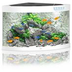 Juwel Trigon 190 LED | 190L | 99 x 70 x 60CM Wit, Dieren en Toebehoren, Vissen | Aquaria en Toebehoren, Nieuw, Ophalen of Verzenden