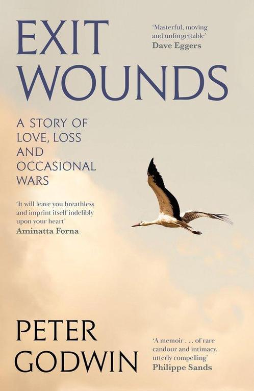 9781805303336 Exit Wounds Peter Godwin, Boeken, Biografieën, Nieuw, Verzenden