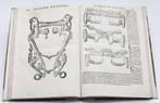 Ferraro Pirro - Cavallo Frenato - 1620, Antiek en Kunst