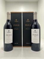 2018 Bodegas Hnos. Sastre, Viña Sastre Pesus - Ribera del, Nieuw