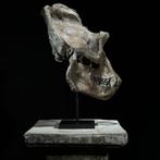 GEEN RESERVEBEDRAG - Een replica van een gorillaskull op een