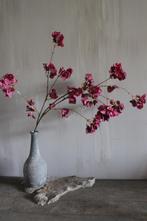 Brynxz grande Bouganvillea burgundy 130 cm, Ophalen of Verzenden, Nieuw