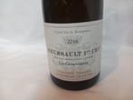 2016 Domaine Tessier Les Genevrières - Meursault 1er Cru -, Nieuw